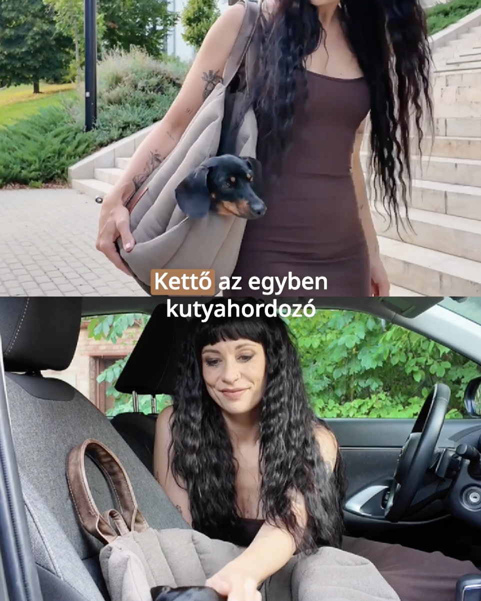 NEW YORK kutyahordozó táska, barna